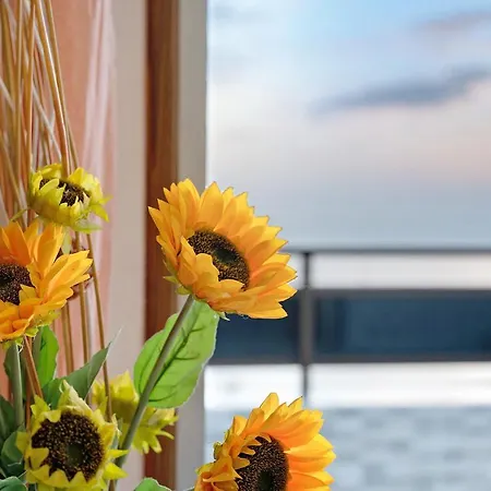 Morales Apartamento Los Cristianos (Tenerife)